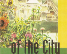 The Politics of the City book cover