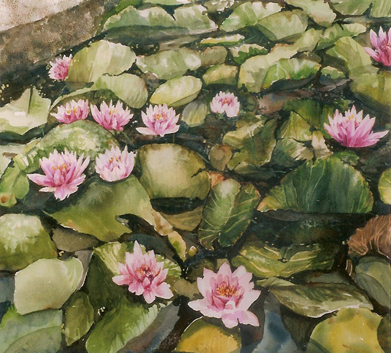 Waterlilies